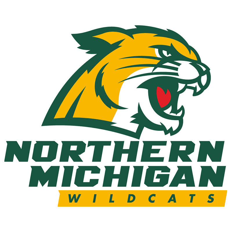 Northern Michigan Wildcats iron ons